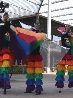 Rainbow Warriors
