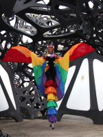 Rainbow Warriors